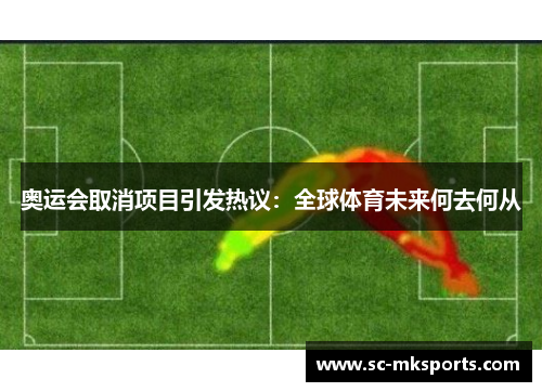 奥运会取消项目引发热议：全球体育未来何去何从